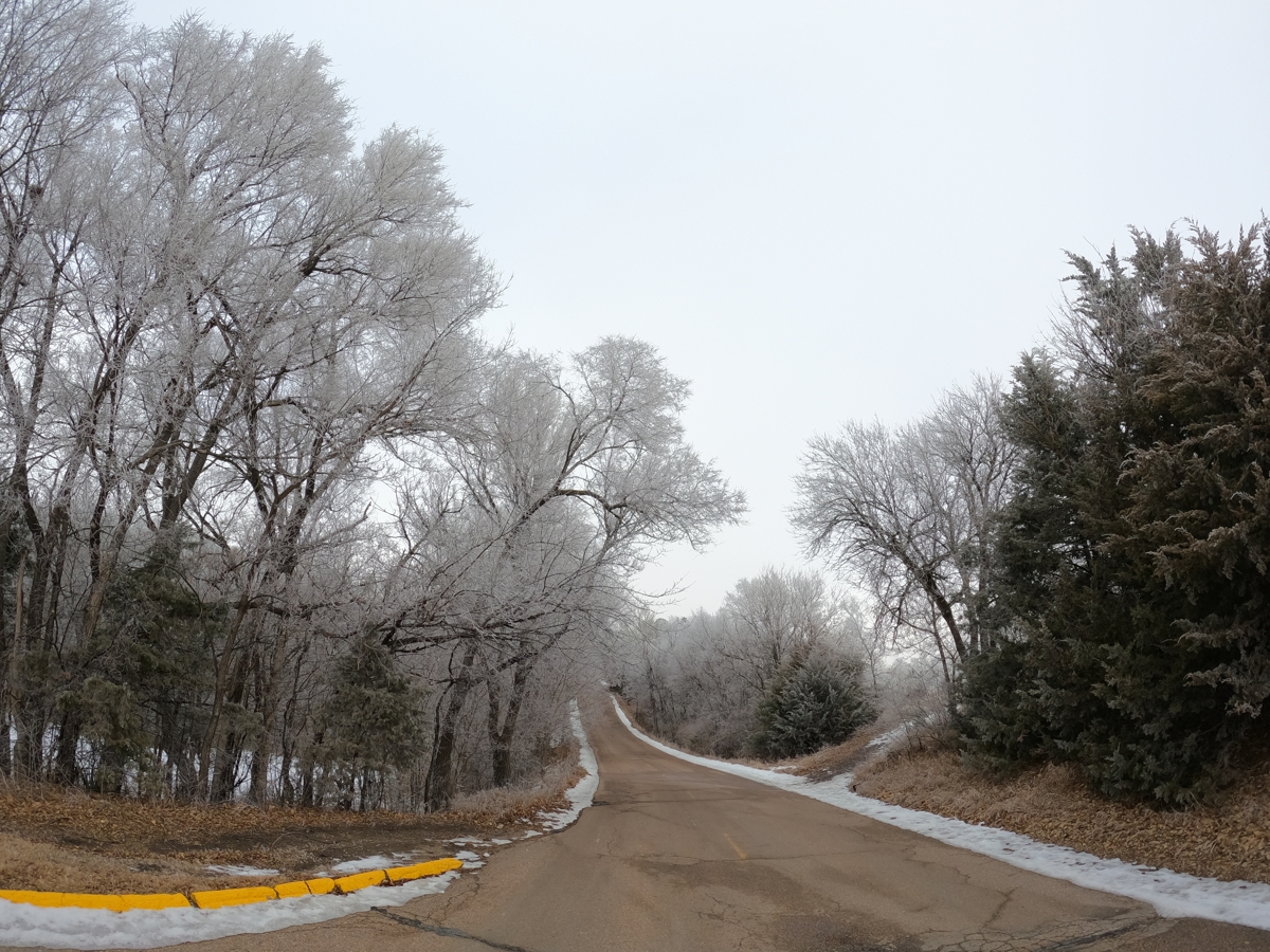 Cottonmill Street in Winter